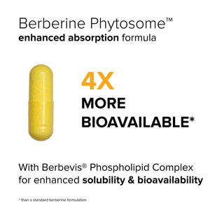 BERBERINE PHYTOSOME