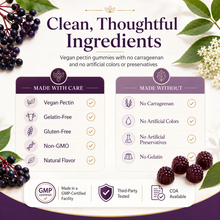 Load image into Gallery viewer, ELDERBERRY GUMMIES