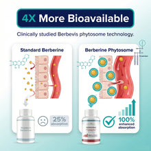 Load image into Gallery viewer, BERBERINE PHYTOSOME