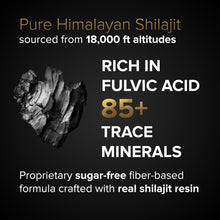 Load image into Gallery viewer, SHILAJIT GUMMIES