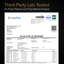 Load image into Gallery viewer, SHILAJIT GUMMIES