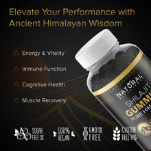 Load image into Gallery viewer, SHILAJIT GUMMIES